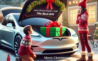 🎄 What’s the Perfect Gift for a Tesla Owner This Christmas? 🎁